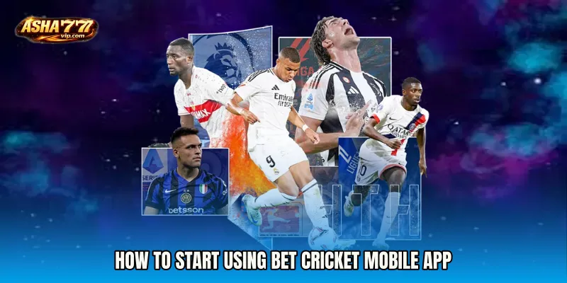 How to Start Using Bet Cricket mobile app
