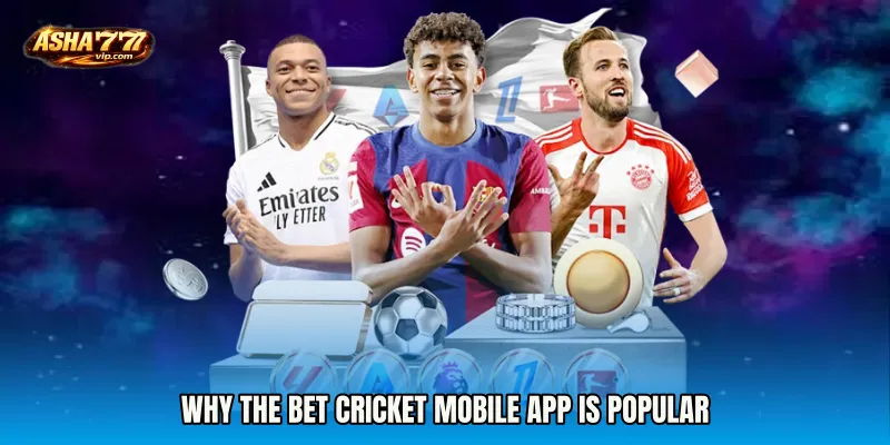 Why the Bet Cricket mobile app Is Popular