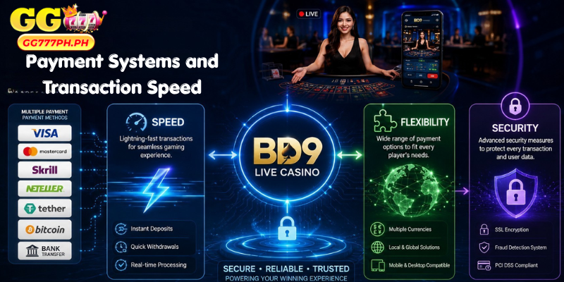 Payment Systems and Transaction Speed